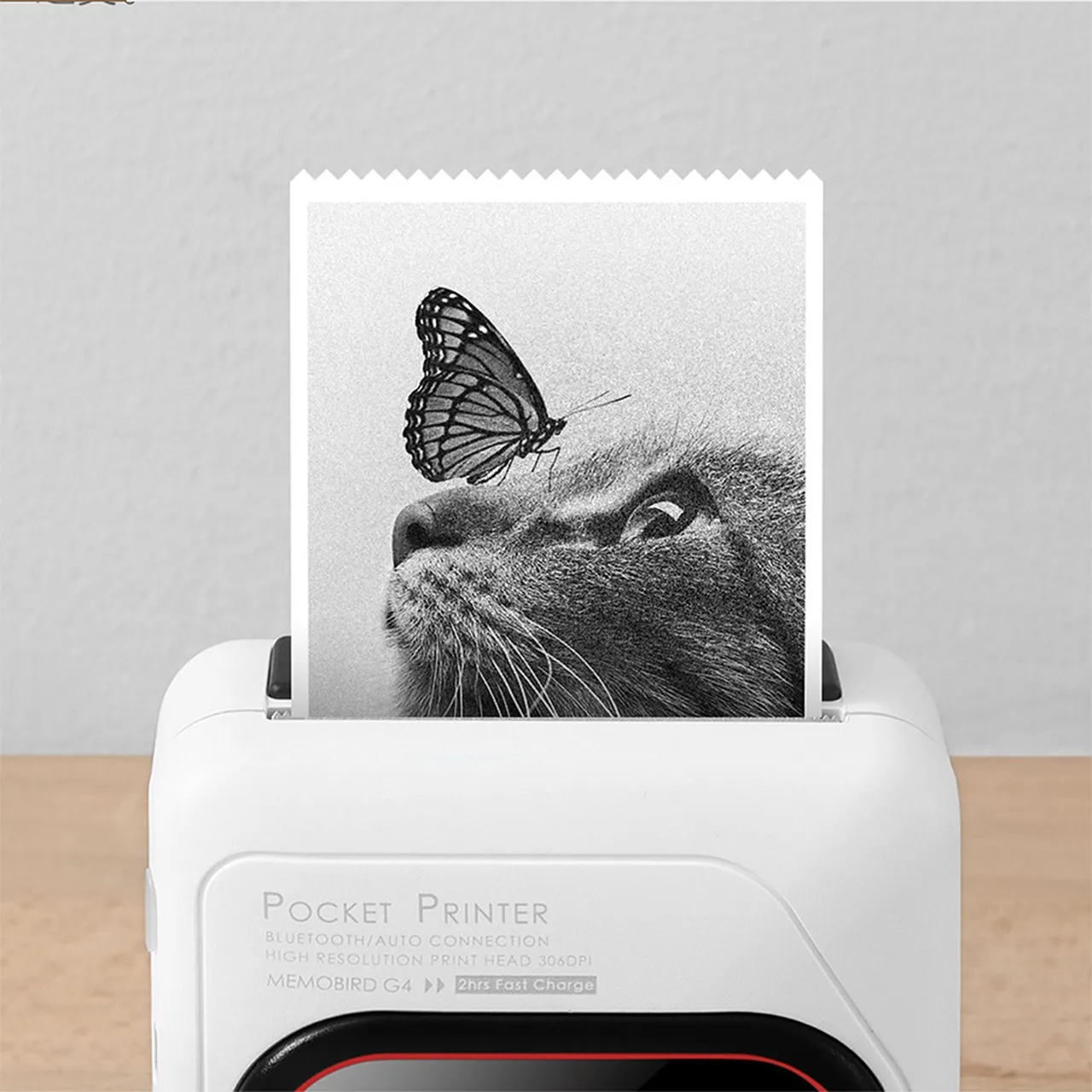 blog-choosing-printer
